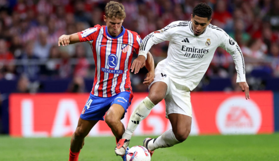 新手就会本 新手就会本