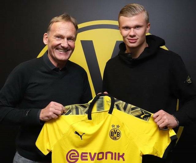 只要这条 只要这条